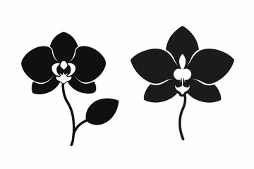 vector-silhouette-of-orchid