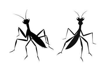 
vector-silhouette-of-praying-mantis (1)
