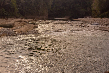 River in the forest at sunset. Mountain river with transparent water in Venezuela