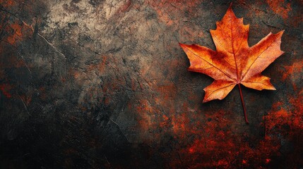 Single Autumn Maple Leaf On Dark Background