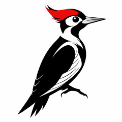 vector-silhouette-of-woodpecker-on