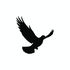 A Universal Symbol of Peace 8