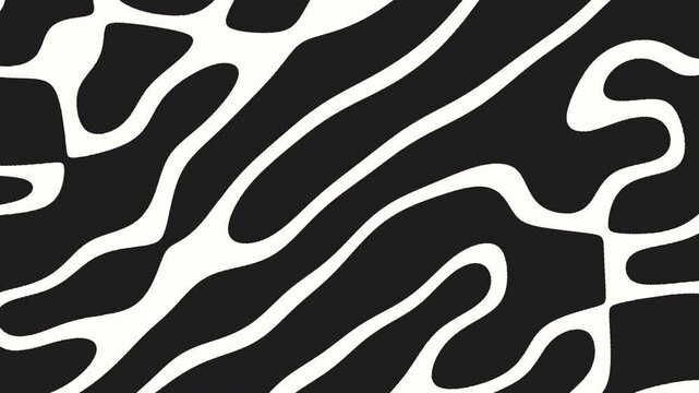 Abstract zebra pattern: black and white zigzag lines creating the illusion of stripes. Likely used for clothing, accessories, or home decor designs