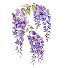 Fototapeta premium beautiful purple wisteria vine with cascading flowers, showcasing delicate petals and vibrant colors