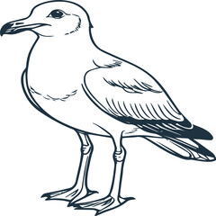 line art heron bird with color