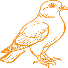 line art pigeon bird with color