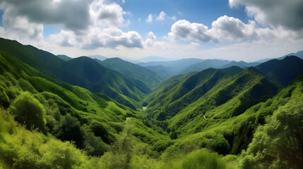 Fototapeta premium a view of a valley with mountains and trees