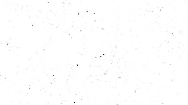 Old vintage film overlay with grain distortion effect and shifting vertical lines, 4k, transparent background with alpha channel, seamless loopable element