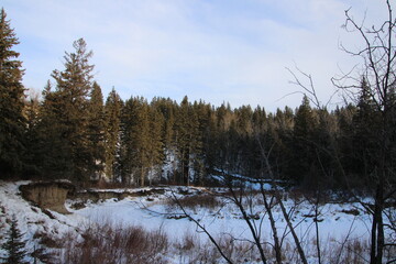 Creek In The Winter Woods, Whitemud Park, Edmonton, Alberta