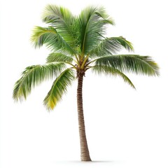 A solitary palm tree rises prominently at the center of the image, surrounded by a clear sky, highlighting its tropical essence and natural beauty.