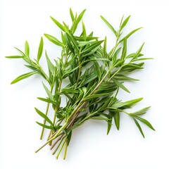 Fototapeta premium A detailed close-up showcasing a cluster of vibrant green leaves resting on a clean white surface, highlighting their texture and color contrast.