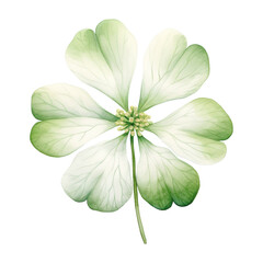 Clover Leaf Clipart Vector Illustration