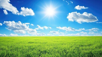 Obraz premium Idyllic prairie scene with vibrant green fields under a stunning blue sky dotted with soft white clouds.