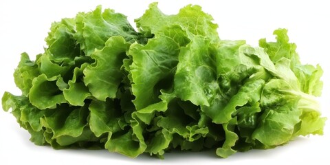 A detailed close-up of fresh lettuce leaves showcasing their vibrant green color and crisp texture on a clean white background.