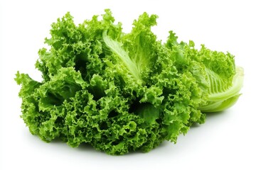 Fototapeta premium A detailed close-up of fresh, vibrant lettuce leaves arranged on a clean white surface, showcasing their texture and color.
