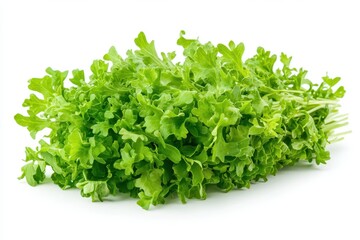 Obraz premium A detailed close-up view of fresh green lettuce displayed against a clean white background, highlighting its crisp texture and vibrant color.