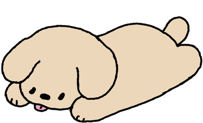 강아지