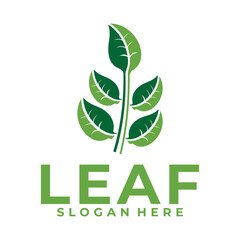 Obraz premium Nature Plant logo design. leaf logo vector illustration design