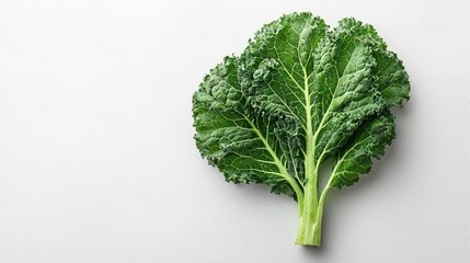 Fototapeta premium Vibrant Green Kale Leaf with Golden Sparkles on Textured Surface