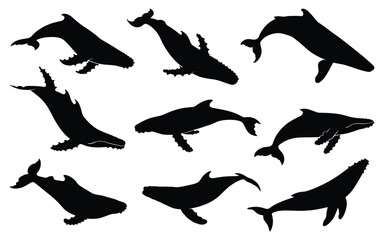 Set of black whale silhouettes vector illustration