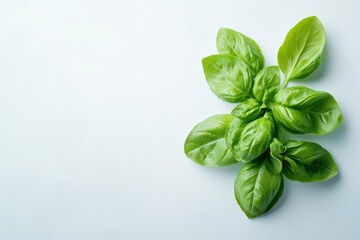Fototapeta premium A vibrant green leafy plant sits gracefully on a clean white surface, showcasing its natural beauty and freshness in a minimalist setting.