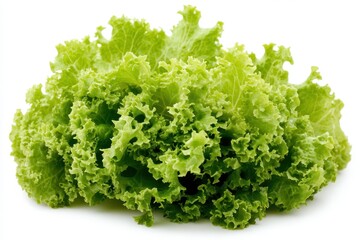 Obraz premium A detailed close-up view of a fresh bunch of green lettuce resting on a clean white surface, showcasing its vibrant leaves and textures.