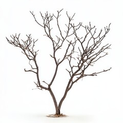 A solitary small tree emerges from a blanket of snow, creating a striking contrast in the serene winter landscape.