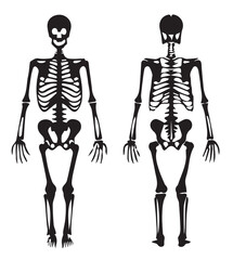 Print  Man bone silhouette in one set of vector illustration style with white background