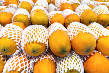 Fresh sweet ripe Papayas lies in a row at the market. Juicy, raw, tropical yellow and orange hues. Exotic Papaya fruits close-up.