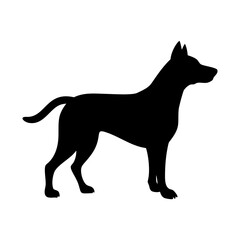 Dog silhouette