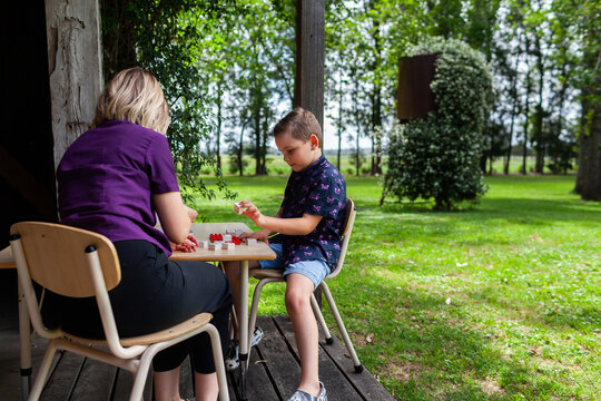 allied health professional speech therapist working with boy in rural location on farm verandah
