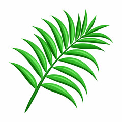 Fototapeta premium Palm branch, isolated vector illustration (2)