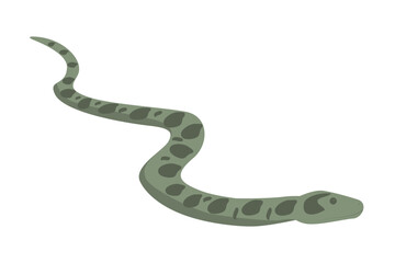 Green anaconda vector illustration. Wild giant snake isolated on white background. Water boa and nonvenomous carnivore reptile. Wildlife of South America.
