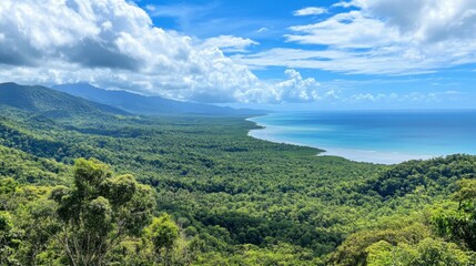 Fototapeta premium Coastal Rainforest Panorama: A Serene Natural Wonder