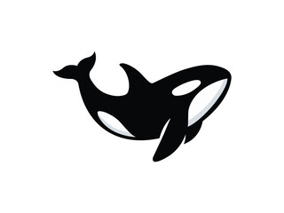 Orca silhouette in playful swimming pose isolated on white background