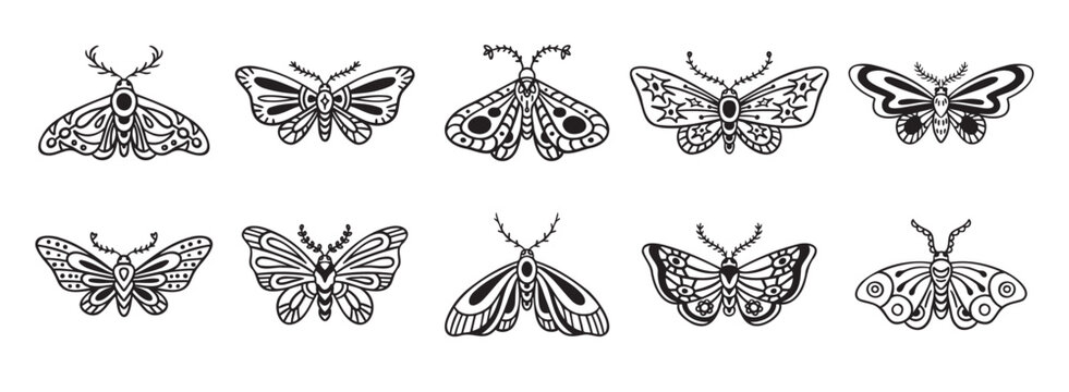 Moth doodle hand drawn icon set. Outline drawing moth line clipart symbol collection