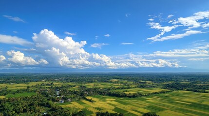 Panoramic View of Lush Green Fields and a Clear Sky