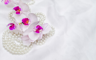 The branch of purple orchids on white fabric background

