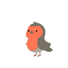 bird