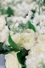 Close-up of elegant white roses and buds with green leaves.