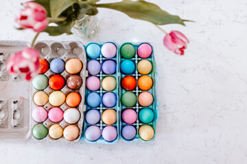 Dyed Easter Eggs in Egg Carton on Counter with Tulips