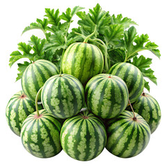 Pile of Watermelons with Green Leaves - Stacked fresh whole watermelons with green striped rinds and leafy stems, showcasing a vibrant harvest and summer abundance.
