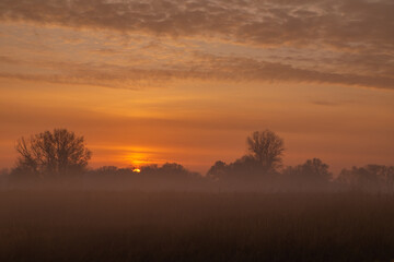 sunrise in the fog