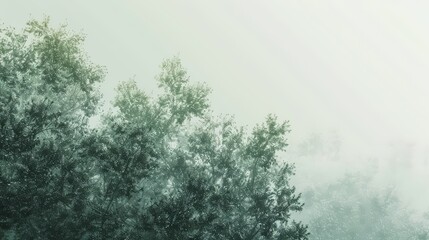 Misty Forest Trees in Foggy Atmospheric Environment