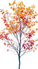 Obraz premium autumn tree silhouette