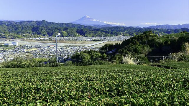 静岡県島田市の牧の原から眺める富士山と島田市・金谷市の街,
