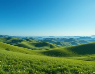 Obraz premium Serene Green Hills Landscape: Rolling Meadows Under a Vast Blue Sky