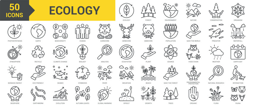 Ecology icon collection set. Containing forest, environment, nature, conservation, organism, photosynthesis, atmosphere, biomass energy, biosphere, earth, biodiversity, nature icon. Simple line vector