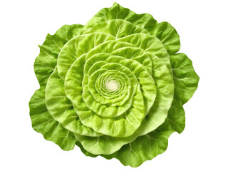 Fototapeta premium Green Salad, lettuce leaf spiral, tomato bounce, dressing drizzle, fresh lighting, commercial photography, transparent background