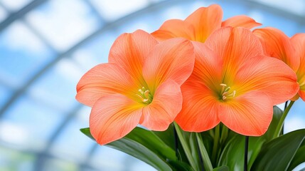 A bouquet of orange flowers with green leaves
